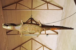 lizard cathedral seville ceiling crocodile